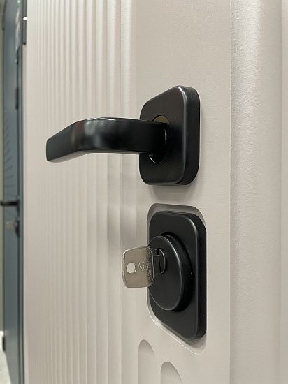 Входная дверь  