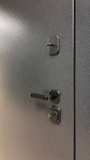 Входная дверь  