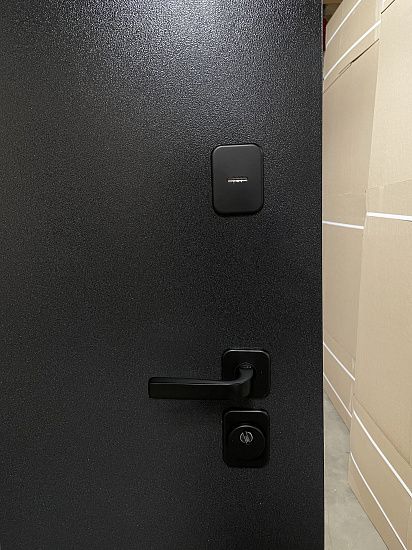 Входная дверь  